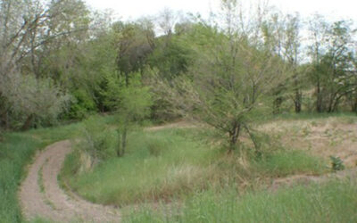 Southwest Park